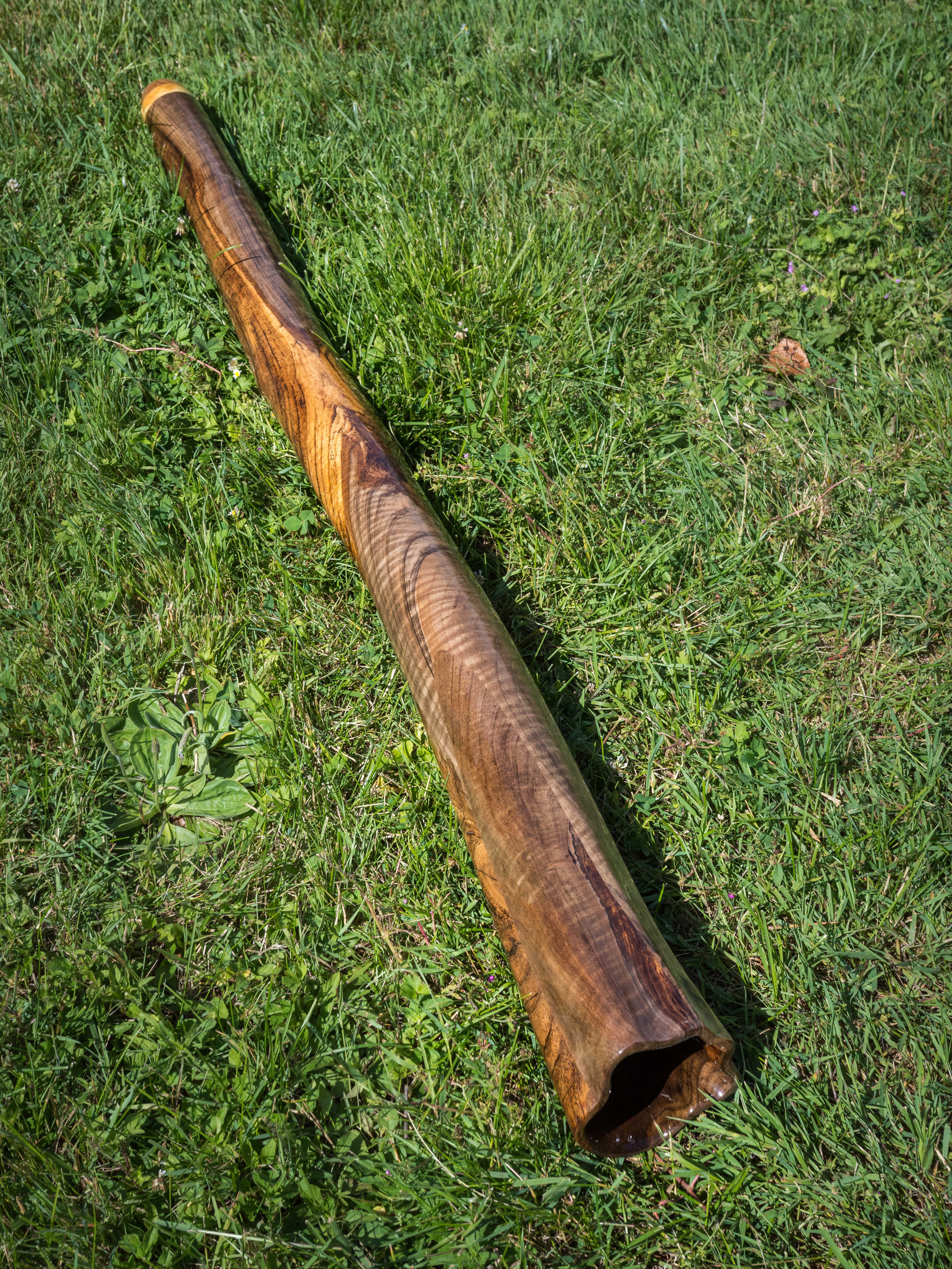 Atoria - D:: Note : Ré Bois : Noyer Toots : F#/D#/G# 950 euros