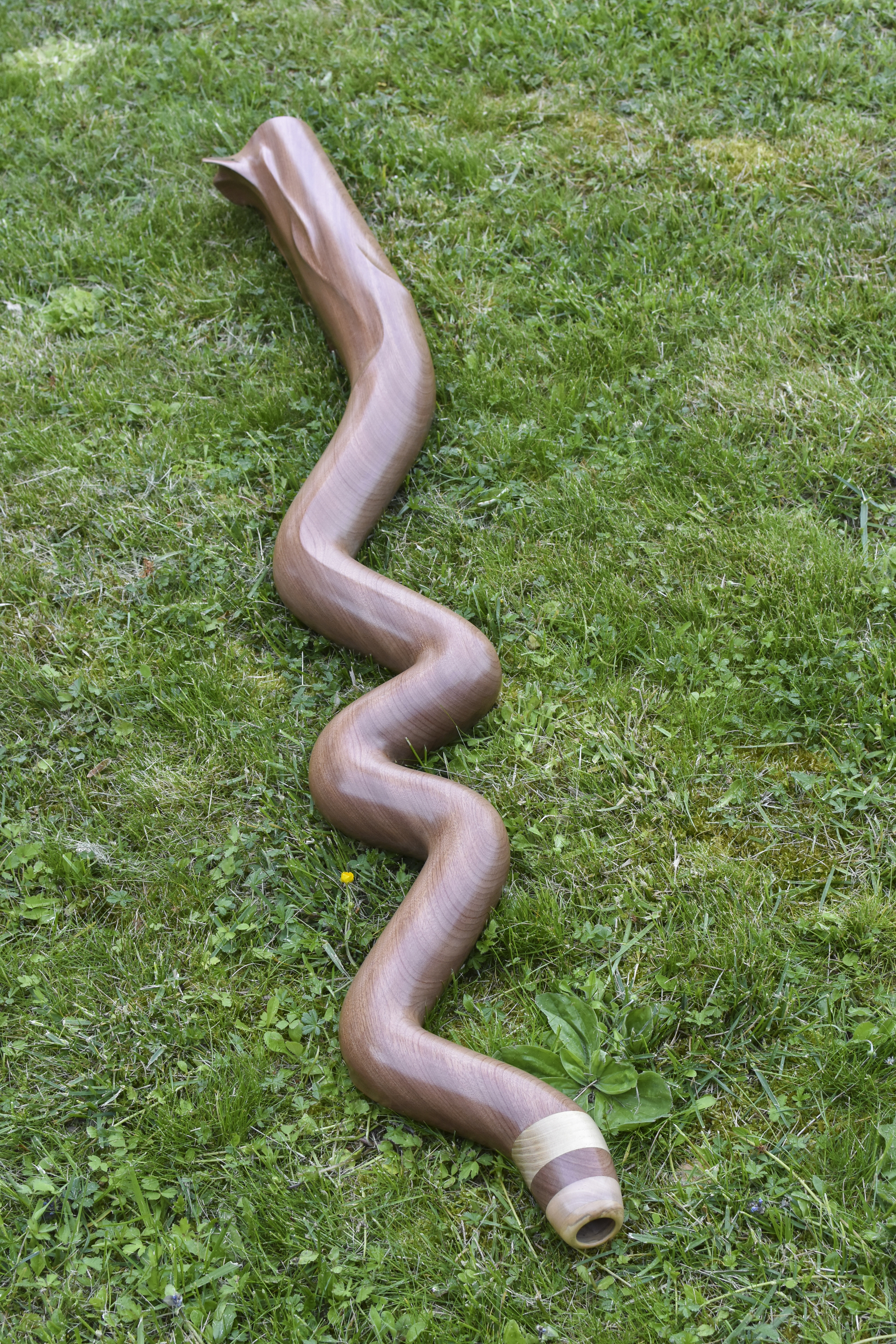  Didgeridoo nommé Nahaki, en Si, en forme de serpent ondulé, fabriqué en bois de sipo 