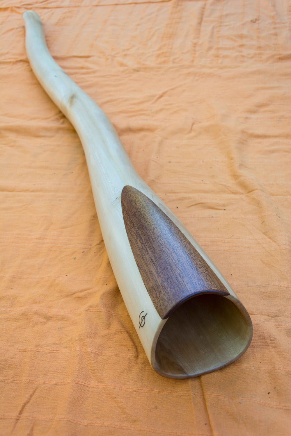 Didgeridoo nommé Daga, en Mi, légèrement courbé, fabriqué en bois d'érable avec du sipo à la cloche