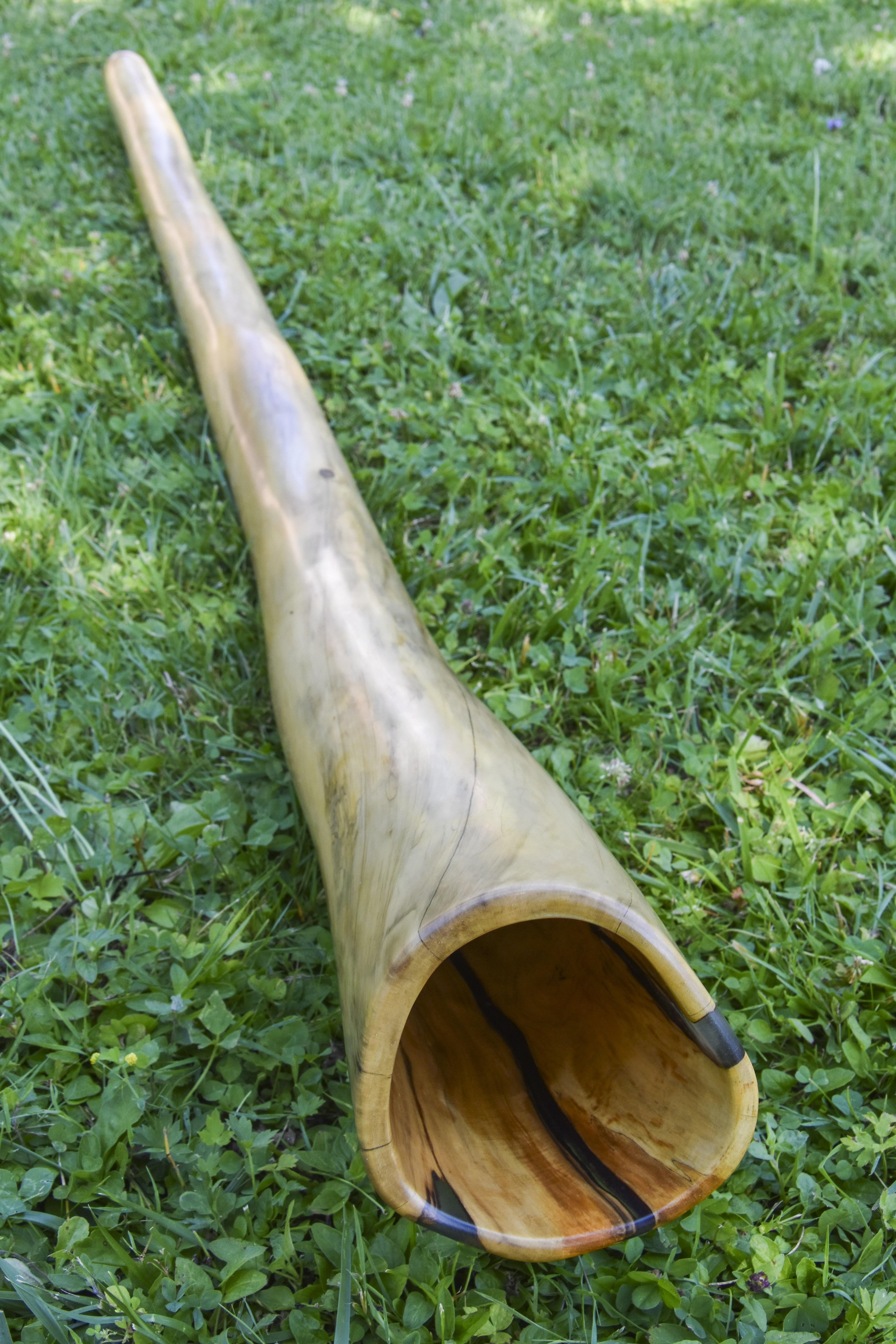  Didgerido nommé Garua, en La, légèrement courbé, fabriqué en bois de buis avec une cloche fissurées comblées de résine