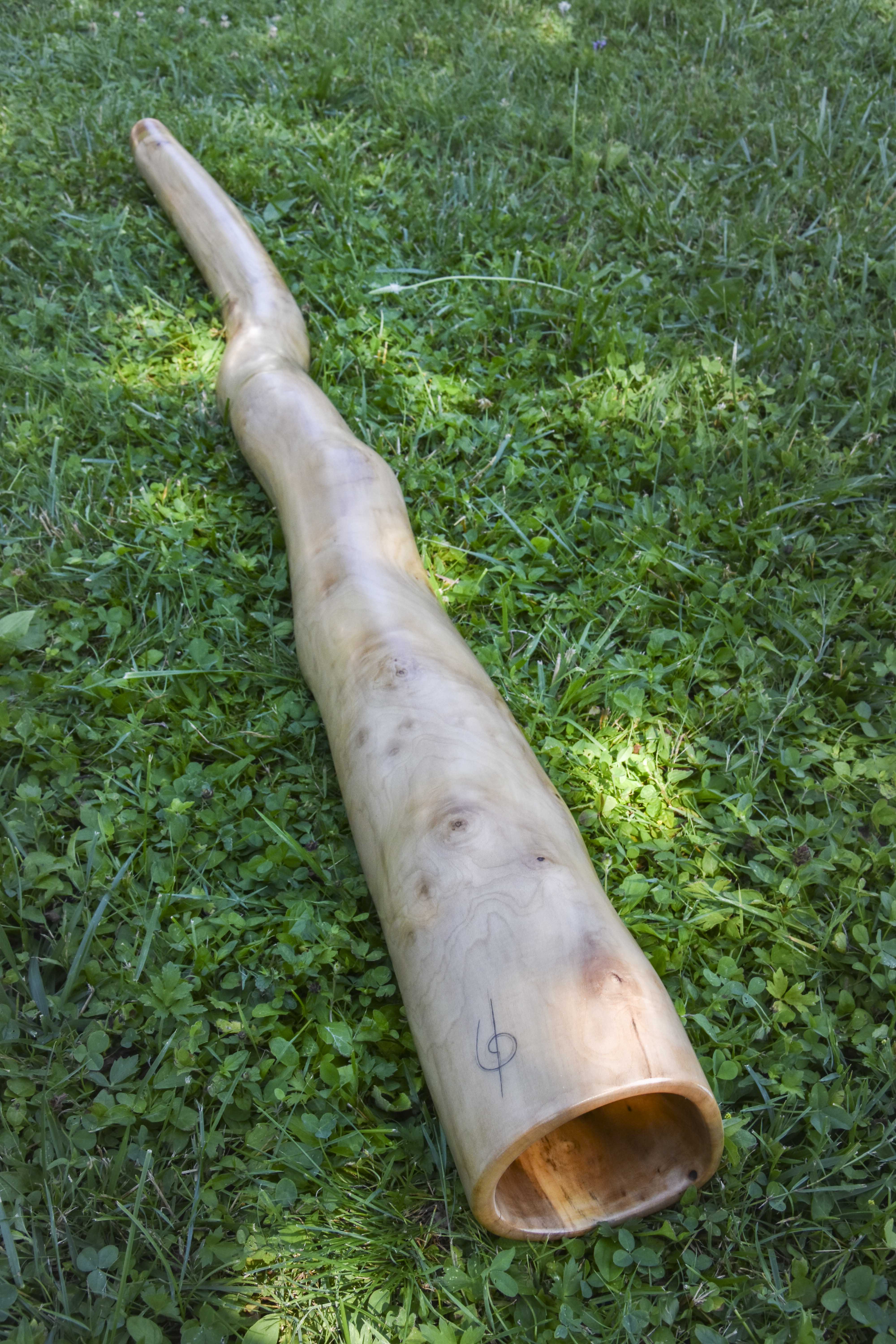 Didgeridoo nommé Karamea, en Ré, légèrement courbé, fabriqué en bois d'Erable