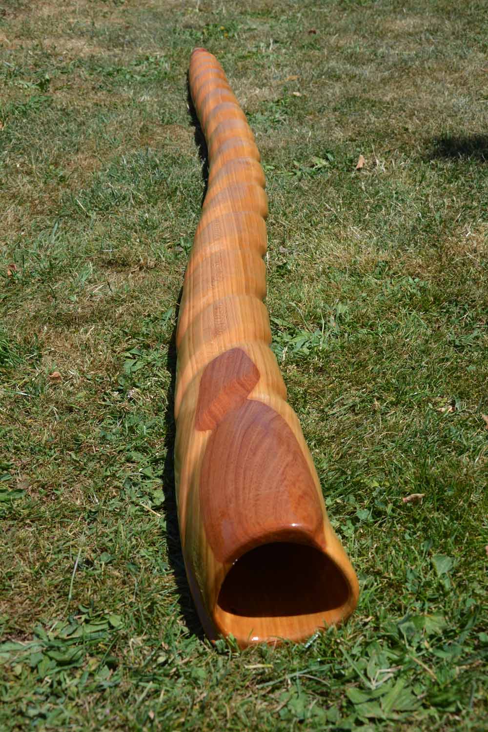 Didgerido nommé Kundalini, en La 432, légèrement courbé, fabriqué en bois de merisier, avec du sipo à la cloche