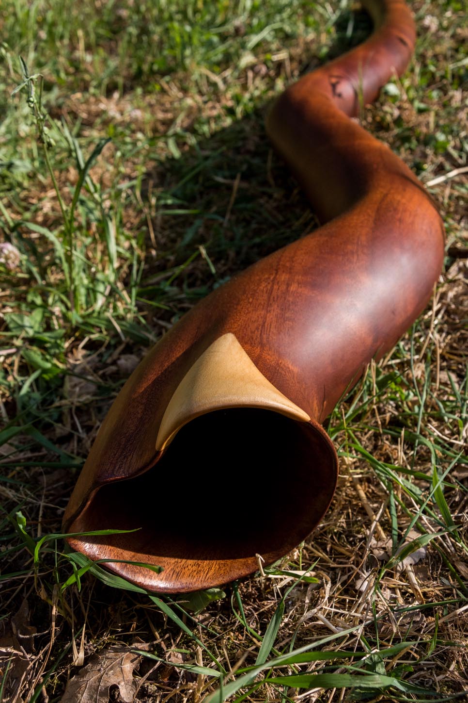 Didgeridoo nommé Mandagurra, en Ré#, courbé, fabriqué dans un magnifique bois de sipo
