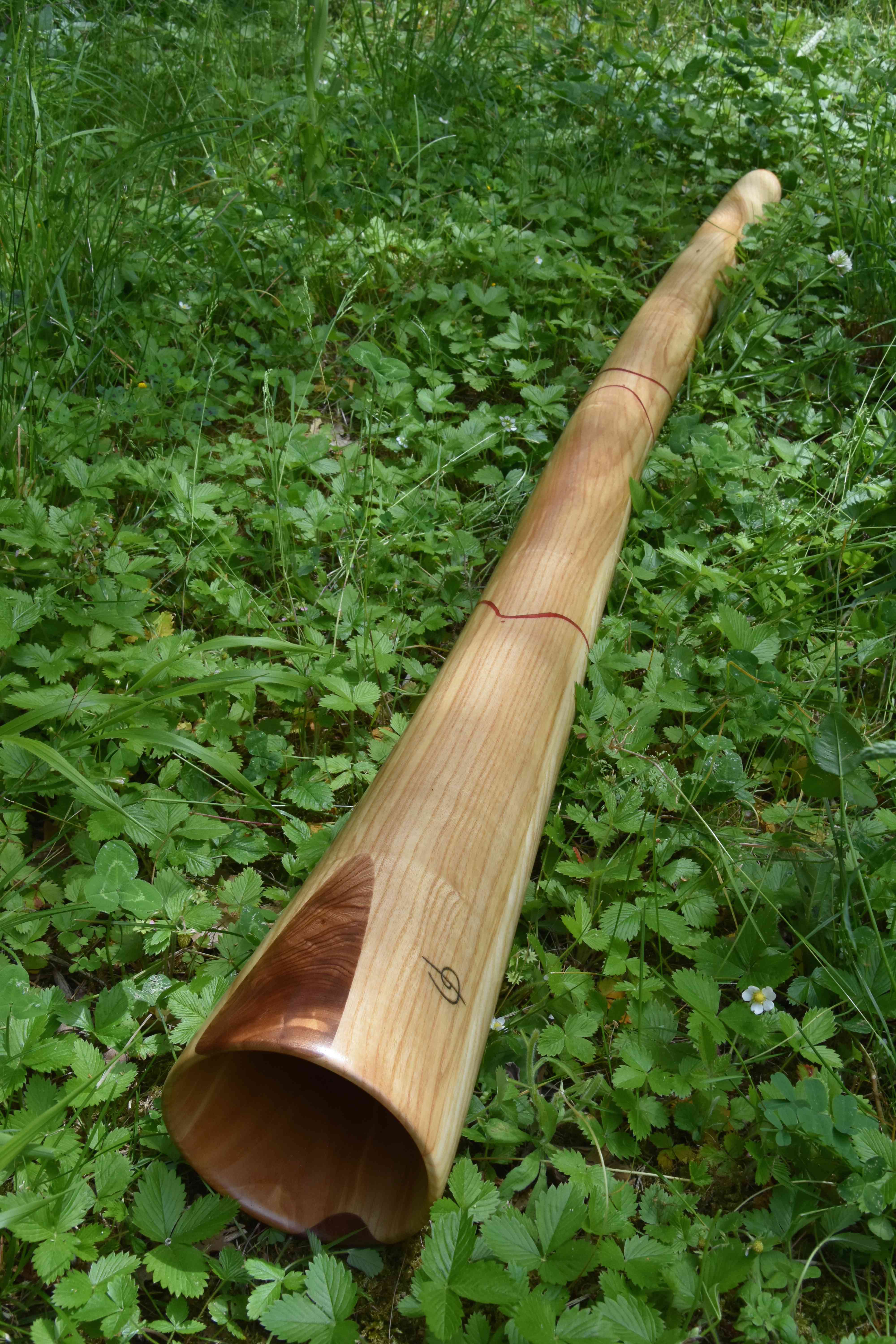 Didgeridoo nommé Puponga, en Do#, légèrement courbé, fabriqué dans un magnifique bois de frêne à coeur d'olivier avec de l'orme et du noyer à la cloche