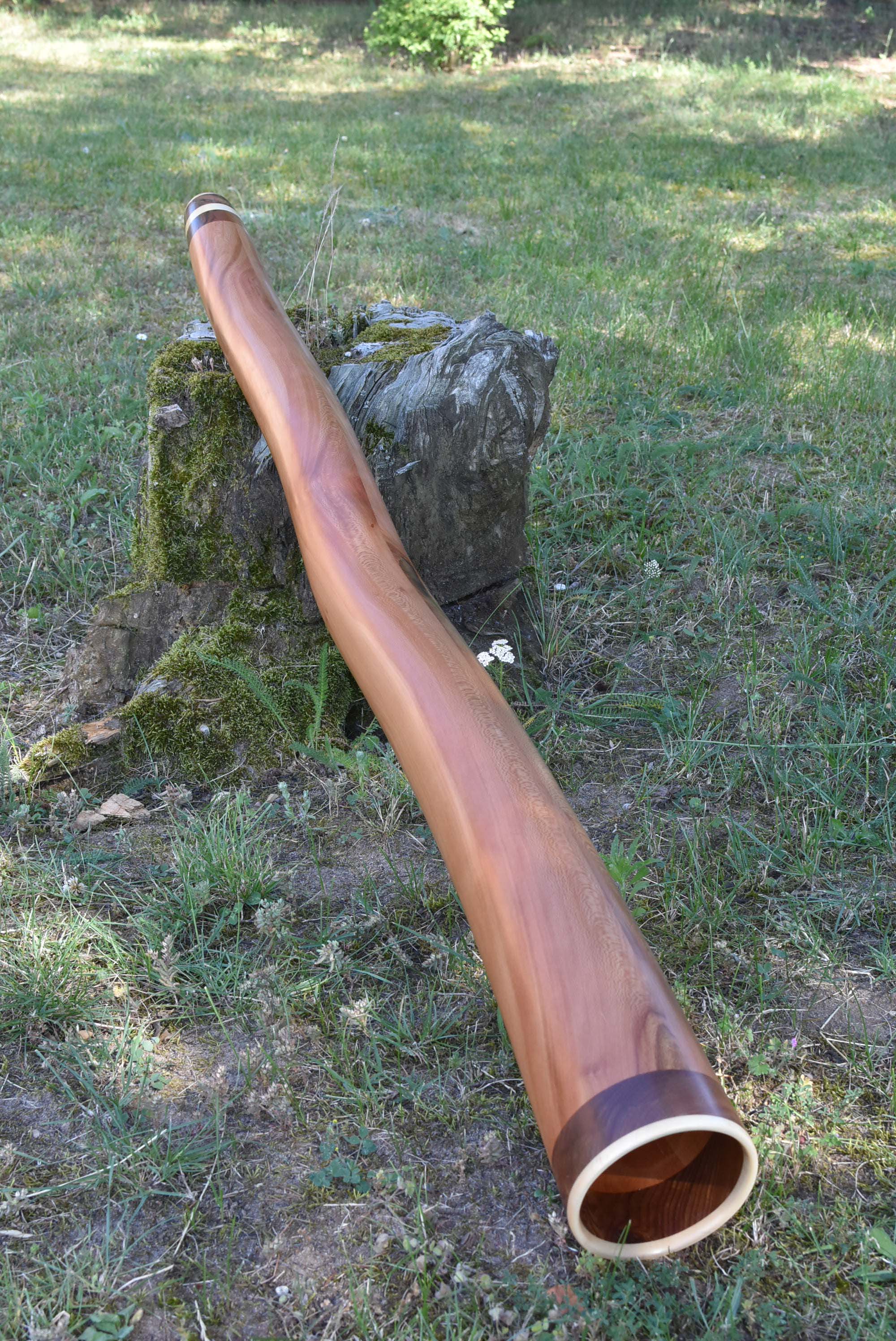 Didgeridoo nommé Rerangi, en Ré, légèrement courbé, fabriqué en bois de platane avec un anneau d’orme et d'érable à la cloche
